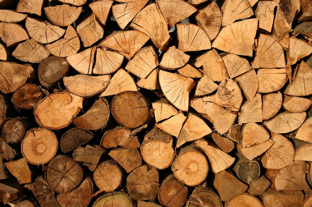 Welk zaagblad voor welk hout? - Euromec